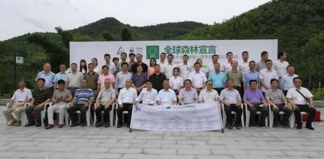 康輝地板積極推動(dòng)“深林宣言”  企業(yè)經(jīng)營堅(jiān)守:綠色環(huán)保