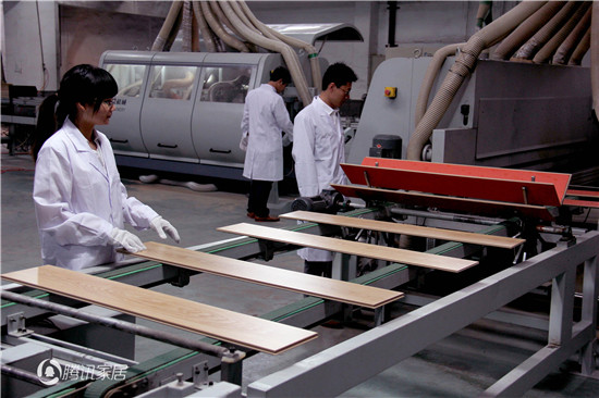 康輝地板董事長沈建康:踐行綠色科技理念